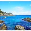 헌화로 Daum카페