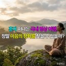 [실천학교]음악으로 떠나는 세계여행 | 혼자 떠나는 국내 명상 여행, 정말 마음의 평화를 찾을 수 있을까?