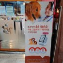 에니펫동물병원 이미지