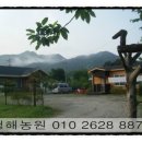 청해농산물