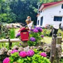 리스토리결혼정보회사 이미지