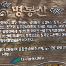 길안천자연산잡어매운탕 이미지