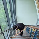 바오로아람터 이미지