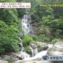 구룡 이미지