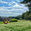 프라움 악기박물관 이미지