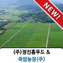 정진홈푸드광양