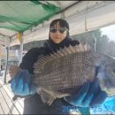 낚시 - 강릉시 율곡로 2932 | 낚시