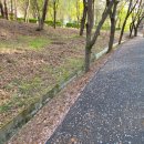 옥화자연휴양림 국민여가오토캠핑장 이미지