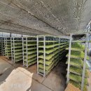 장계농협 이미지