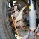 설화모터스 이미지