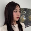 슬릭 이미지