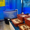 무등수산 이미지