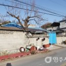 안심1리 이미지