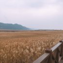 도사동사무소 이미지