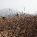노고단-4 티스토리