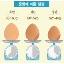 우리계란마트 이미지