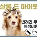 마이 펫 살롱 이미지