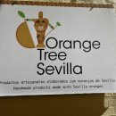 오렌지트리(Orange tree) | 스페인 | 세비야 “Orange Tree Sevilla(오렌지 트리 세비야)” 고체향수·핸드크림 구매 후기