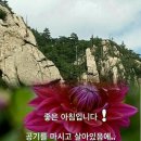 따뜻한 말 한 마디 이미지
