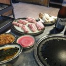 조선도야지 이미지