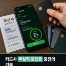 창신마케팅 | 지방세 재산세 네이버페이 2% 절세 방법 및 세금 납부 효율화 전략