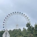 영랑호수공원 | 가족 속초 당일치기 여행 (속초해수욕장, 영금정, 속초 등대전망대, 속초 영랑호수공원)