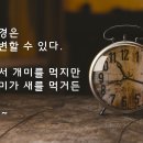 신창사랑병원 Daum카페