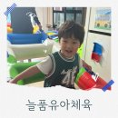 대전 가정방문 체육 추천 늘품유아체육 │ 아이 체험 솔직 후기