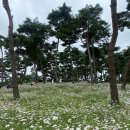 상관리조트&스파 | [공지] [전북여행] 완주 편백숲길 &amp; 상관리조트스파 숙박과 온천 솔직후기!
