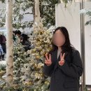 데이지 | 신촌미용실 스마일데이지 | 레이어드컷 펌 후기