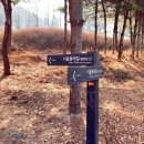 장암경희한의원 이미지