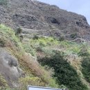 오토플러스카 | [스페인 여행] 카나리 아일랜드 테네리페 여행 / Canary Island Tenerife / 테네리페 렌트카 추천 / 윤...