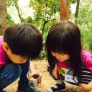 괴안어린이집 이미지