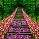 제783회 로또 1등 당첨을 비나이다~~776일차 이미지