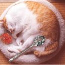 무늬카레 이미지