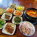 빅트리(Bigtree) 이미지