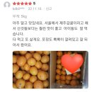 현이네감귤농장 | 블로그마켓 달콤한 제주귤 Open합니다.🍊