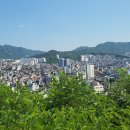 팔복동-06(까치회관 앞) | 청룡산과 텃밭까지 산행후기