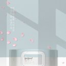 베이직홀릭