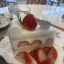 카페 디아즈 | 수원시청역 디저트 카페 디아즈 후기