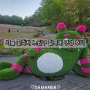 4 | 서울 꽃축제 노원구 철쭉제 구경 후기