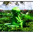 연꽃펜션 이미지