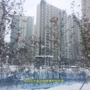 홍익인간공인중개사사무소 이미지