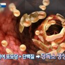 당독소케어 이미지
