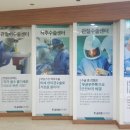 글로벌튼튼병원 이미지