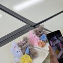 대구태전초등학교 이미지