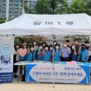 갈마1동행정복지센터 이미지