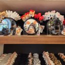 조이풀게임장 | 부산 기장 놀이공원 &#39;롯데월드 어드벤처 부산&#39; 매직패스/주차/우비/머리띠/놀이기구 총정리