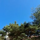 (주)금호자동차서비스 이미지