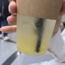 엑스엑스커피메이커고투몰